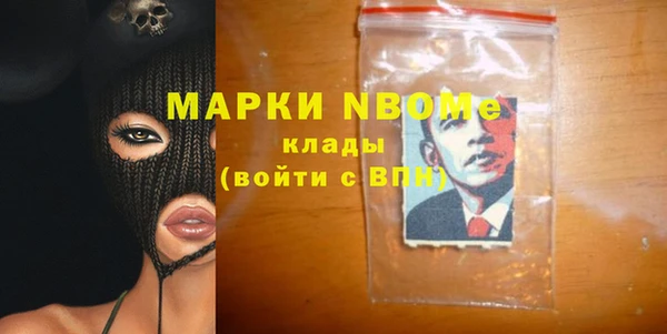 индика Снежинск
