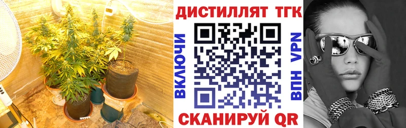 Дистиллят ТГК Wax  Купить где  Райчихинск 